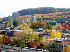 Mount Royal, from a rooftop on St. Laurent Boulevard