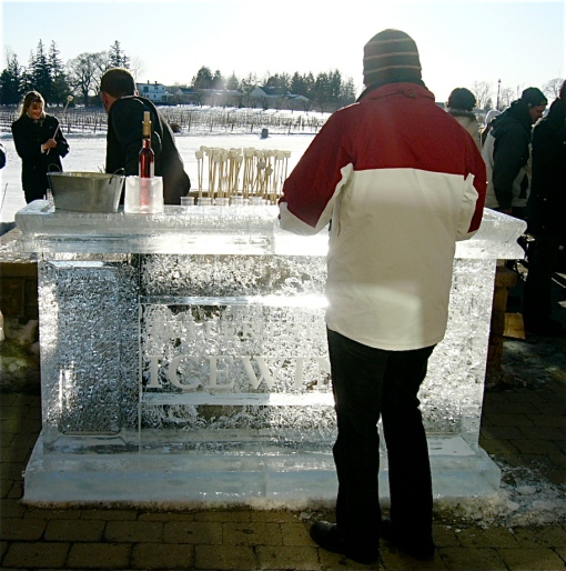 An outdoor ice bar