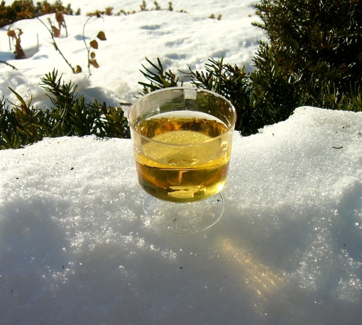 A sample of ice wine at Peller Estates
