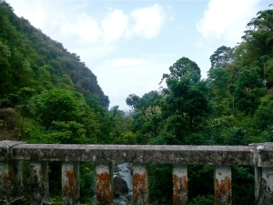 The view from one of many bridges on the Hana Highway