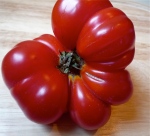 A cluster tomato